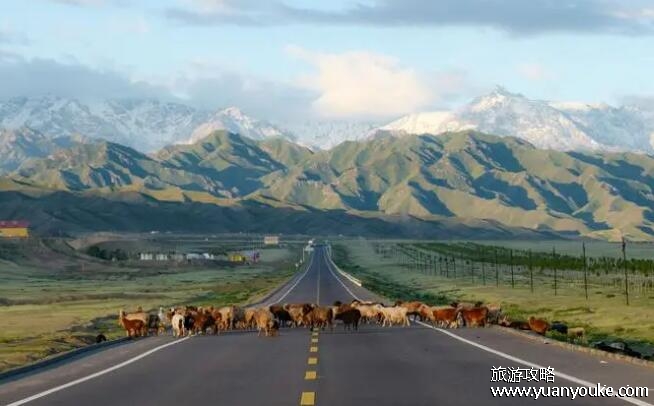 独库公路开放时间几月到几月，5月至9月(独库公路一天观四季之景)