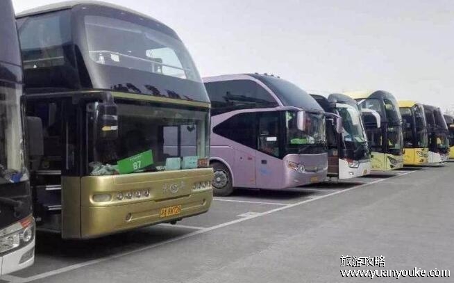 春运汽车票涨不涨价，都会涨(公共运营公司车票计算公式)