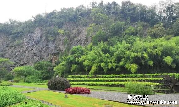 辰山植物园在哪里，在上海市松江区(适合休闲漫步的美丽景点)