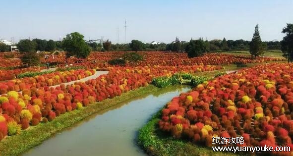 花开海上生态园好玩吗，非常适合放松的公园(娱乐活动众多)