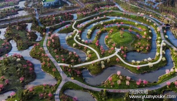 花开海上生态园好玩吗，非常适合放松的公园(娱乐活动众多)
