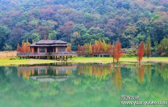 圭峰山国家森林公园门票价格多少，只要5块钱(性价比非常高)