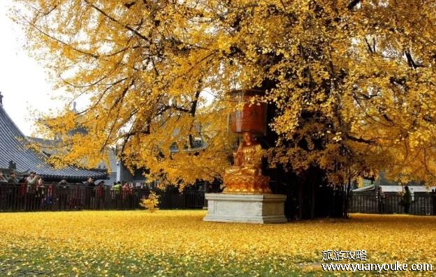古观音禅寺在哪里，在陕西省西安市()