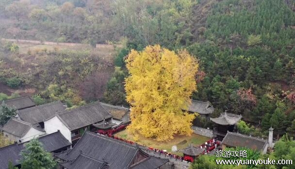 古观音禅寺在哪里，在陕西省西安市()