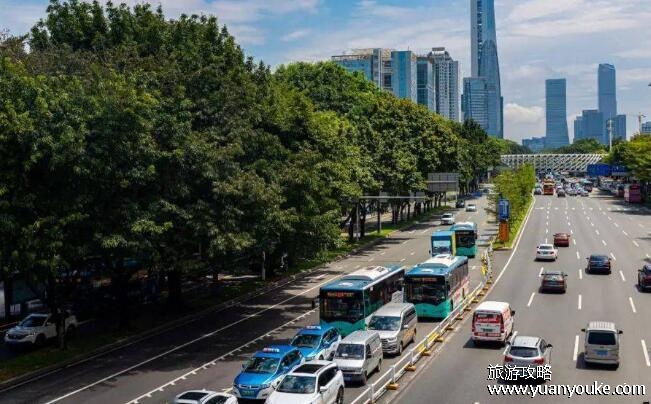 深圳限行规定2023，限行时间/区域/车辆/处罚(每月可以申请一次免禁行)