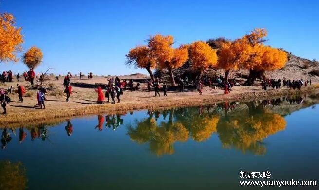 额济纳旗属于哪个市，在内蒙古自治区阿拉善盟(西夏魅力独特)