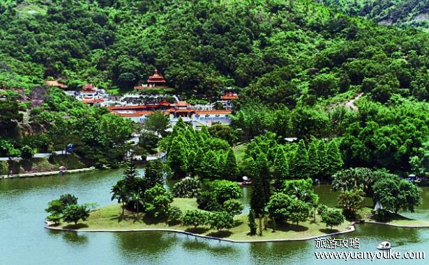 深圳仙湖植物园好玩吗，能够全身心感受大自然的美妙