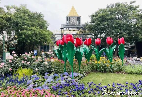 荷兰花卉小镇好玩吗，迷人的美丽景点(花朵样式多四季都很美)