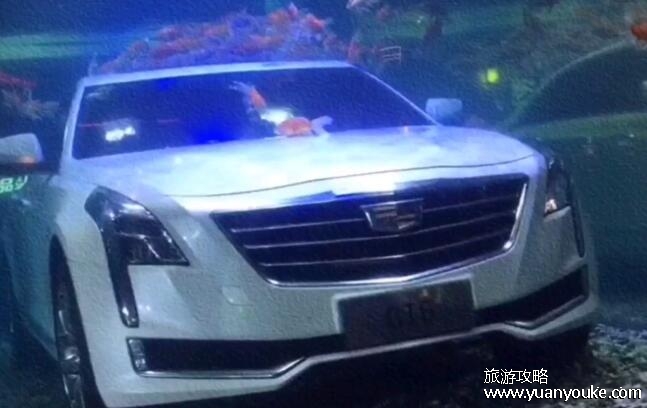 凯迪拉克追高铁事件是真实的吗，视频故事都是假的(凯迪拉克和高铁的速度)