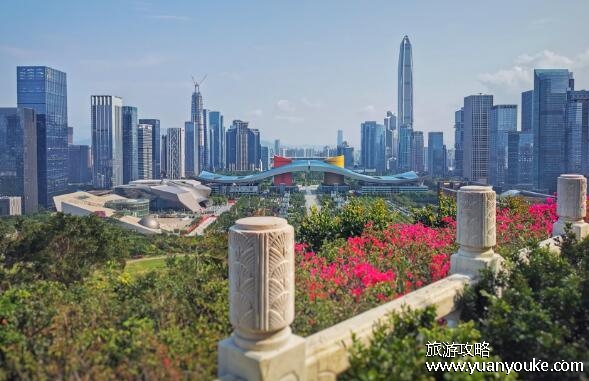 深圳莲花山海拔多少米，106米(深圳市中心的美丽山峰)