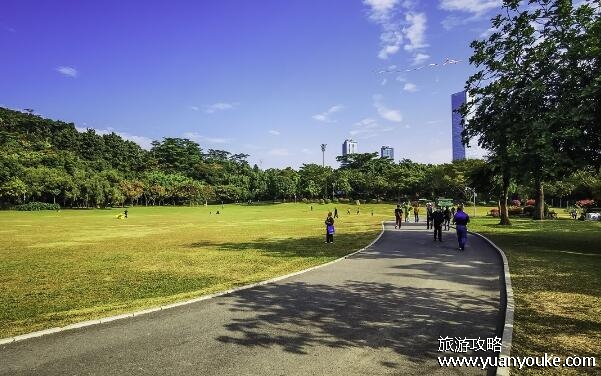 深圳莲花山海拔多少米，106米(深圳市中心的美丽山峰)