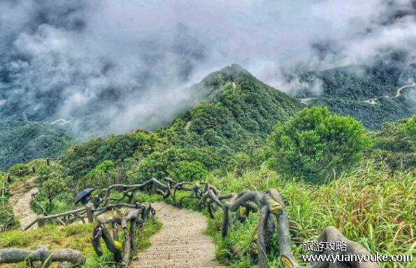 深圳梧桐山海拔多少米，943.7米(非常适合家庭出游亲自大自然)