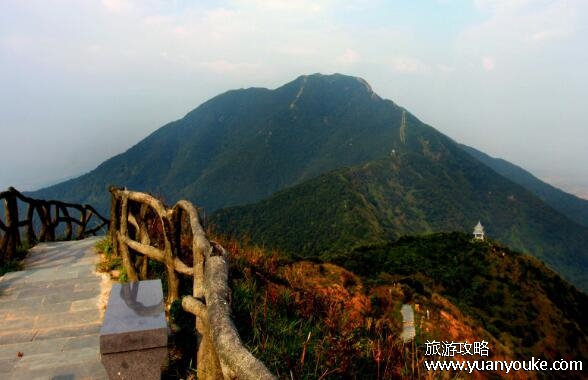 深圳梧桐山海拔多少米，943.7米(非常适合家庭出游亲自大自然)