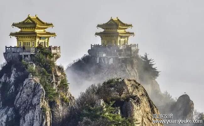 洛阳必去的三个景点，国家牡丹园四月中旬欣赏品质最佳的牡丹