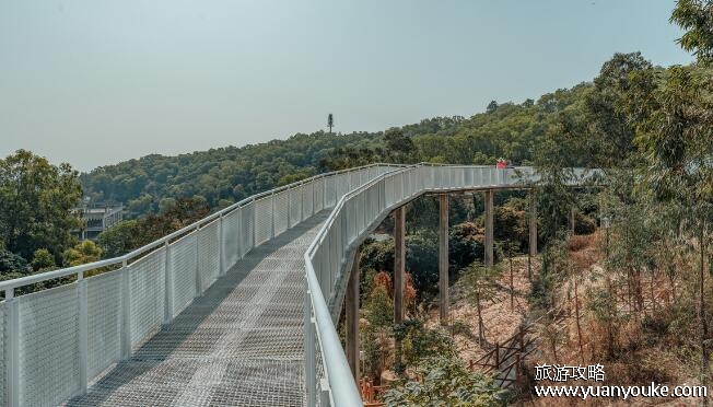 铁仔山公园是哪个城市的，在广东省深圳市(被称为城市休闲氧吧)