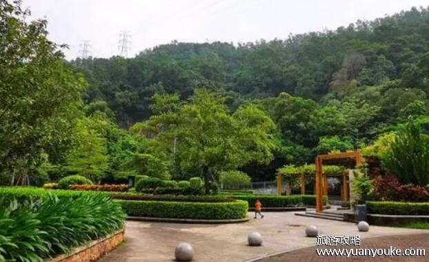 平峦山公园在哪里，在广东省深圳市宝安区(宝安区最大的公园)