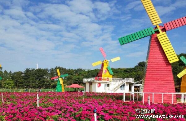 梦幻百花洲门票多少钱，普通票60元(预订票只要25元)