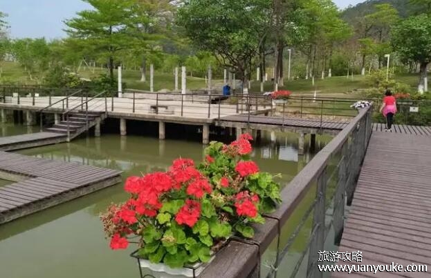 南沙滨海公园在哪里，在广东省广州市南沙区(植物花卉四季不衰)