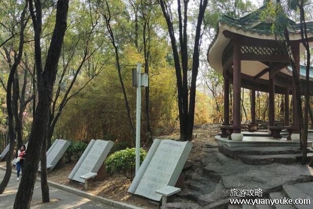 榴花公园属于东莞哪个镇，在东莞市樟木头镇(独特美丽的公园)