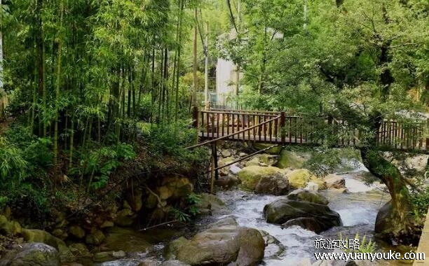 天目山在哪里，在浙江省杭州市(杭州市区最高的山峰之一)