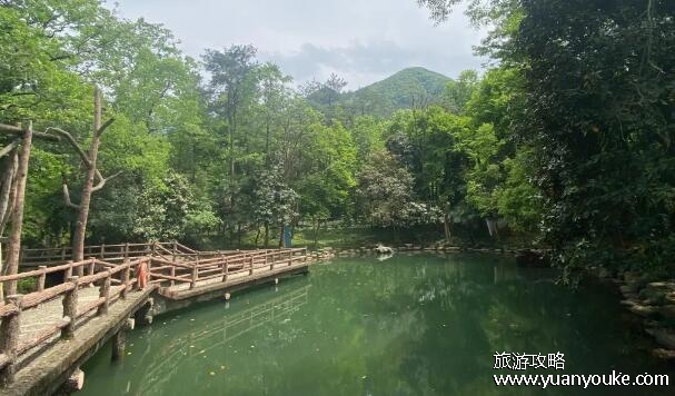 大奇山国家森林公园好玩吗，