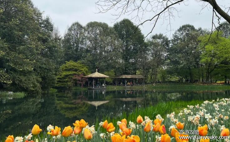 太子湾公园要门票吗，免费开放的景点(适合茶余饭后散步休闲)