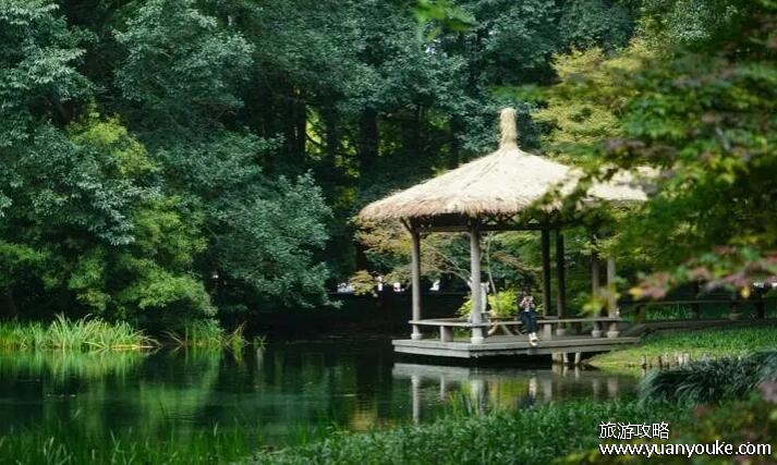 太子湾公园要门票吗，免费开放的景点(适合茶余饭后散步休闲)