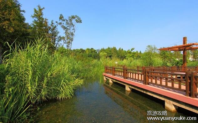 上海东滩湿地公园门票价格多少，45元一张(节假日会涨价)