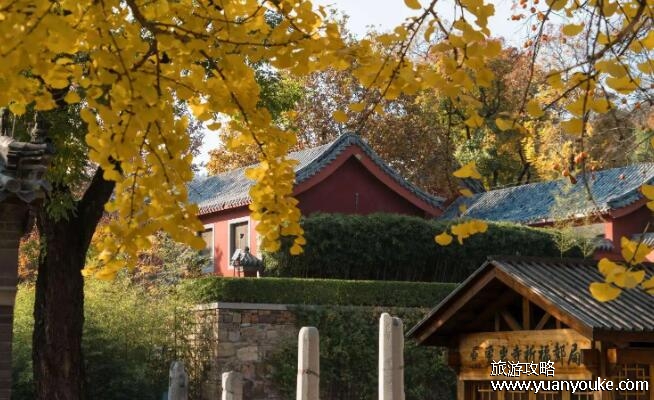 济南旅游攻略必去景点