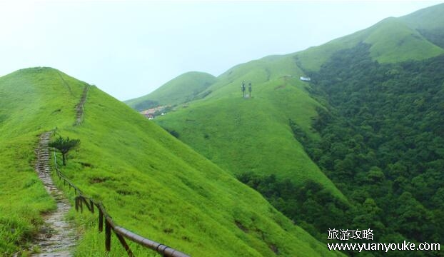 武功山在哪个省哪个市，江西和湖南的交界(美景令人惊叹的景点)