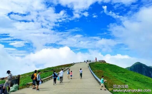 武功山在哪个省哪个市，江西和湖南的交界(美景令人惊叹的景点)
