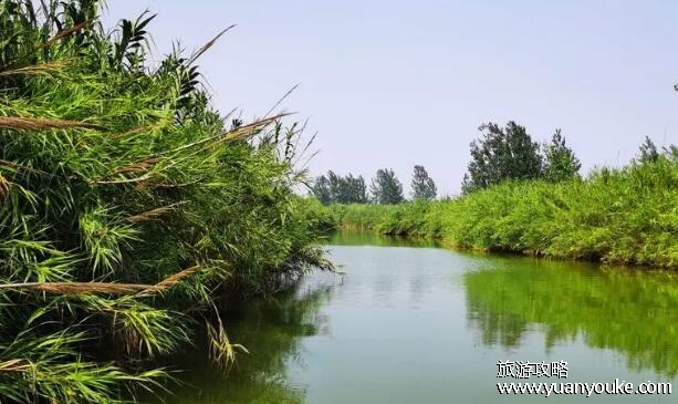 洪泽湖在哪个省哪个市，在江苏的淮安和宿迁境内(著名旅游胜地)