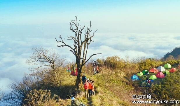 赵公山海拔多少米高，高达2434米(山顶景色美不胜收的雄伟山峰)