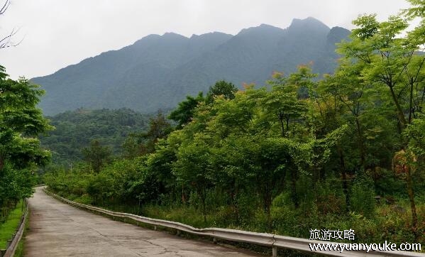 赵公山海拔多少米高，高达2434米(山顶景色美不胜收的雄伟山峰)