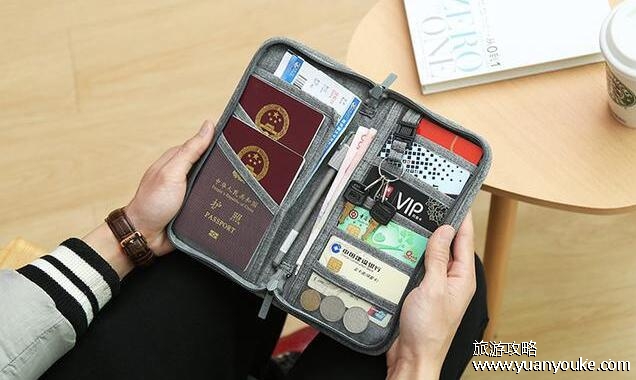 坐飞机需要什么证件，需要携带的证件类型(未成年人和小动物托运的证件)
