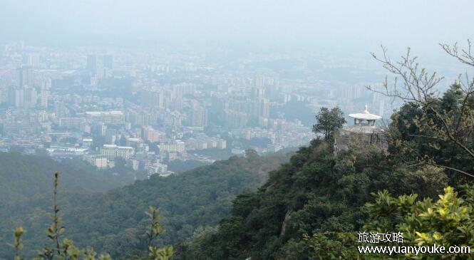 广州白云山有多高，海拔382米(奇花异草众多的美丽景区)