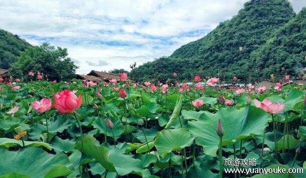 普者黑在云南什么地方，在文山州丘北县(名字是彝族语言的音译)