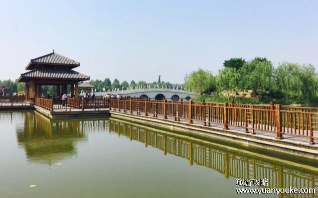 夏津黄河故道森林公园门票多少钱，30元一人(特定时期会涨价)