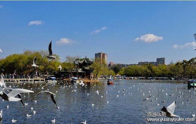 昆明旅游景点攻略自由行，昆明市中心必去的几个景点(还能品尝美食)