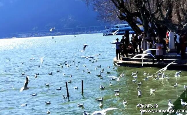昆明旅游景点攻略自由行，昆明市中心必去的几个景点(还能品尝美食)