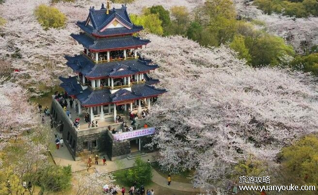 无锡有什么好玩的地方旅游景点，太湖鼋头渚风景区是无锡标志性景点