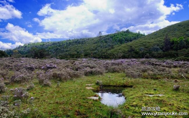 攀枝花旅游必去景点，