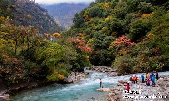 东拉山大峡谷在什么地方，四川省雅安市(古丝绸之路的重要通道)