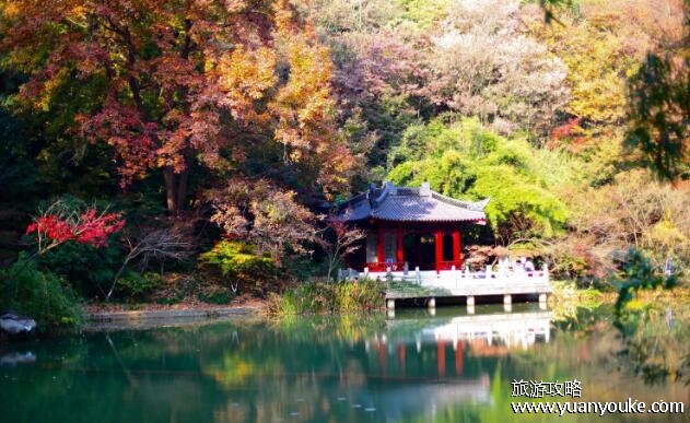 栖霞山风景区在哪里，