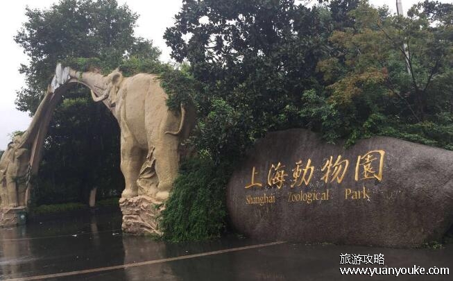 上海动物园门票价格，成人票40元(优惠政策以及出行交通)