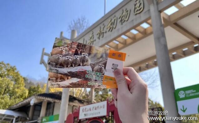 红山森林动物园门票多少钱，成人40元1人/学生20元1人
