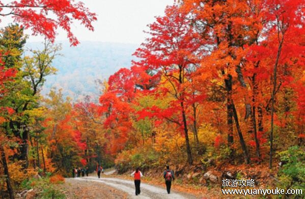 吉林蛟河红叶谷几月份去好，每年9月25日至10月10日(秋景绝美)