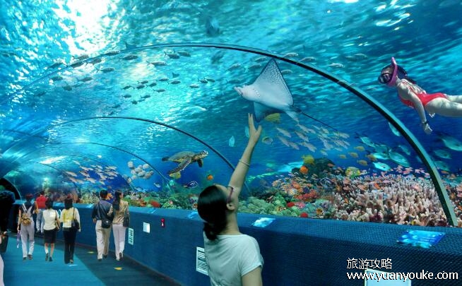 长沙海底世界门票价格，极地海洋馆和水上乐园票种价格详情