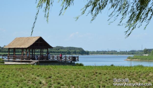 大运河森林公园在哪里，在北京市通州区()