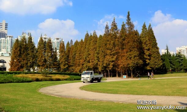 世纪森林公园在哪里，在北京市昌平区(浩瀚的森林景观非常独特)